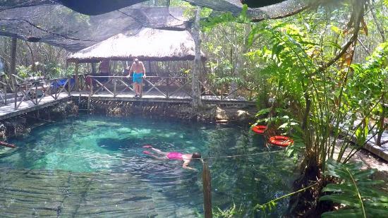 Los Manglares de San Crisanto